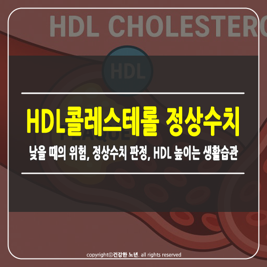 HDL콜레스테롤 정상수치 썸네일