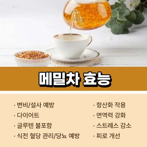 메밀차 효능