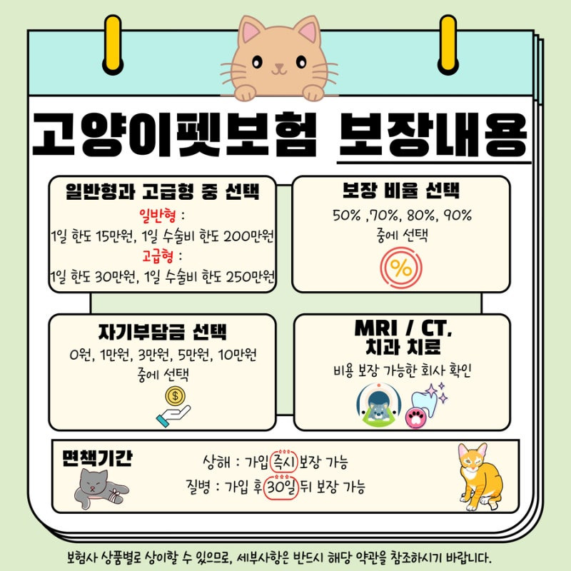 펫보험 및 CT촬영비용