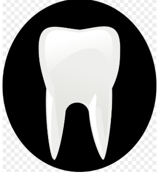 이빨 빠지는 꿈