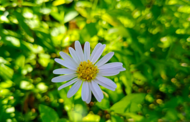 만-나이-계산기-달라진-점-만-나이-통일법