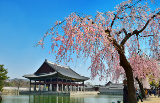 창덕궁 야간개장