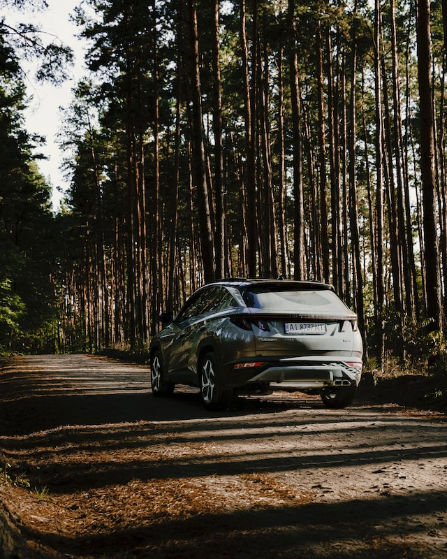 자동차 장기렌트 리스 차이점과 장단점