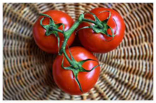 토마토가_몸에_좋은_이유