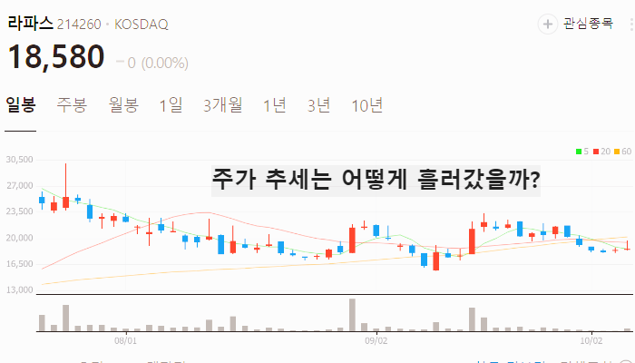 위고비 관련주 대장주 테마주 수혜주 TOP7