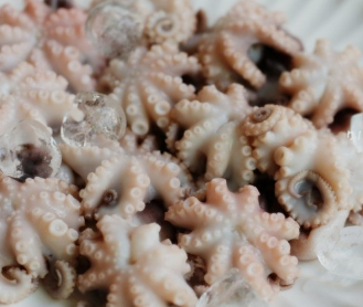 3월에 먹으면 좋은 제철 음식(봄철 음식) - 쭈꾸미편 (효능&amp;#44; 쭈꾸미가 들어가는 음식)