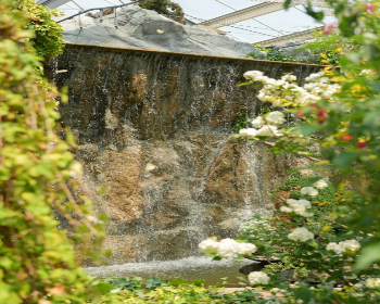 함평나비축제_11