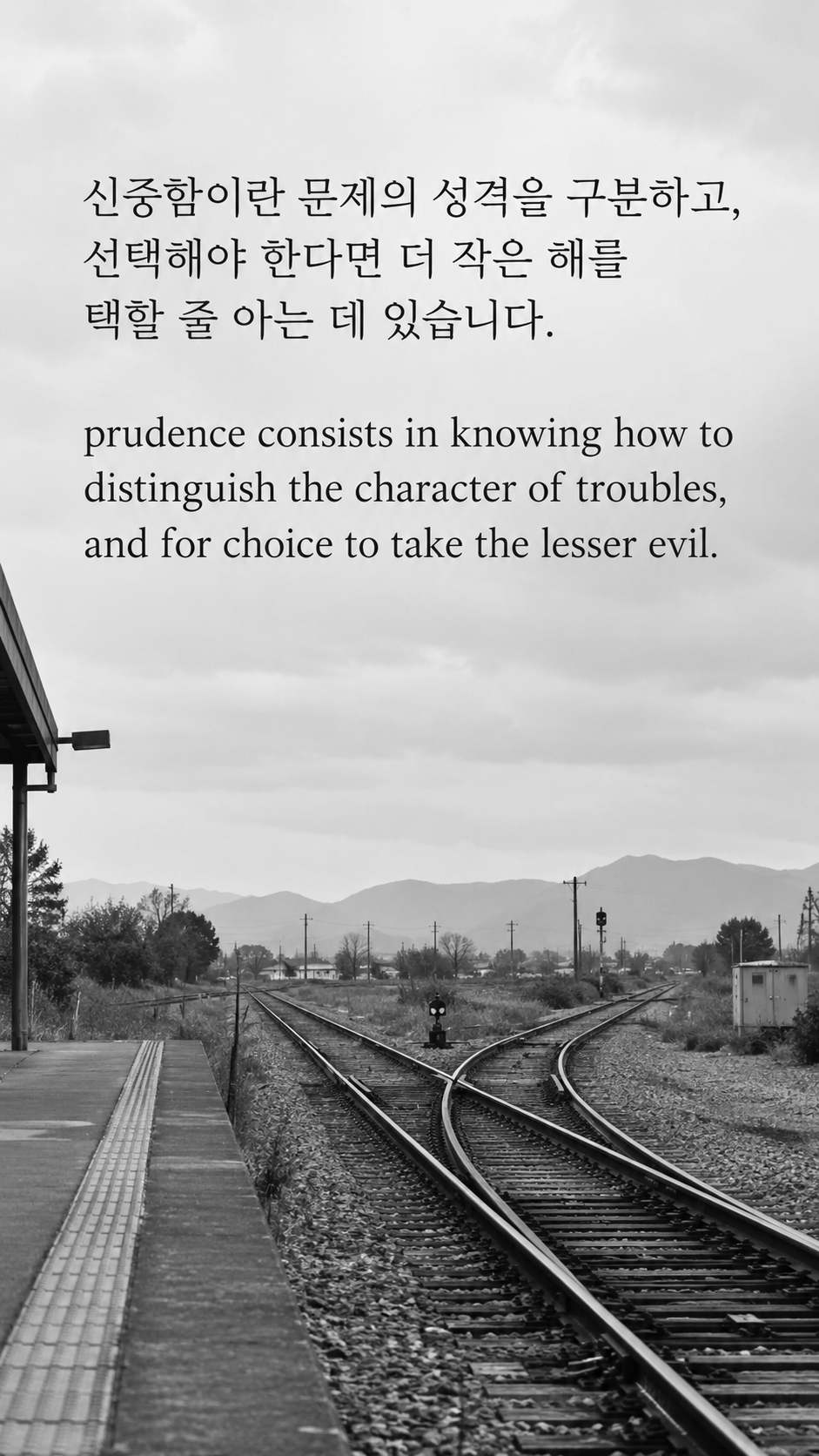 신중함이란 문제의 성격을 구분하고, 선택해야 한다면 더 작은 해를 택할 줄 아는 데 있습니다. — 갈라지는 철도 선로의 흑백사진