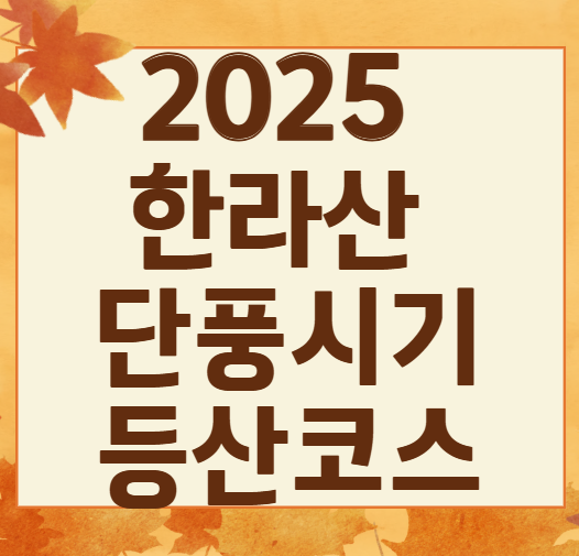2025 한라산 단풍 절정시기 공개! 가을 초보자 코스 완벽 정리
