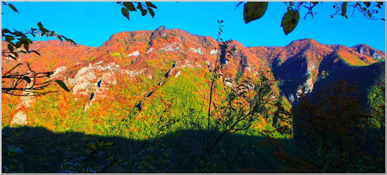 덕항산 등산코스