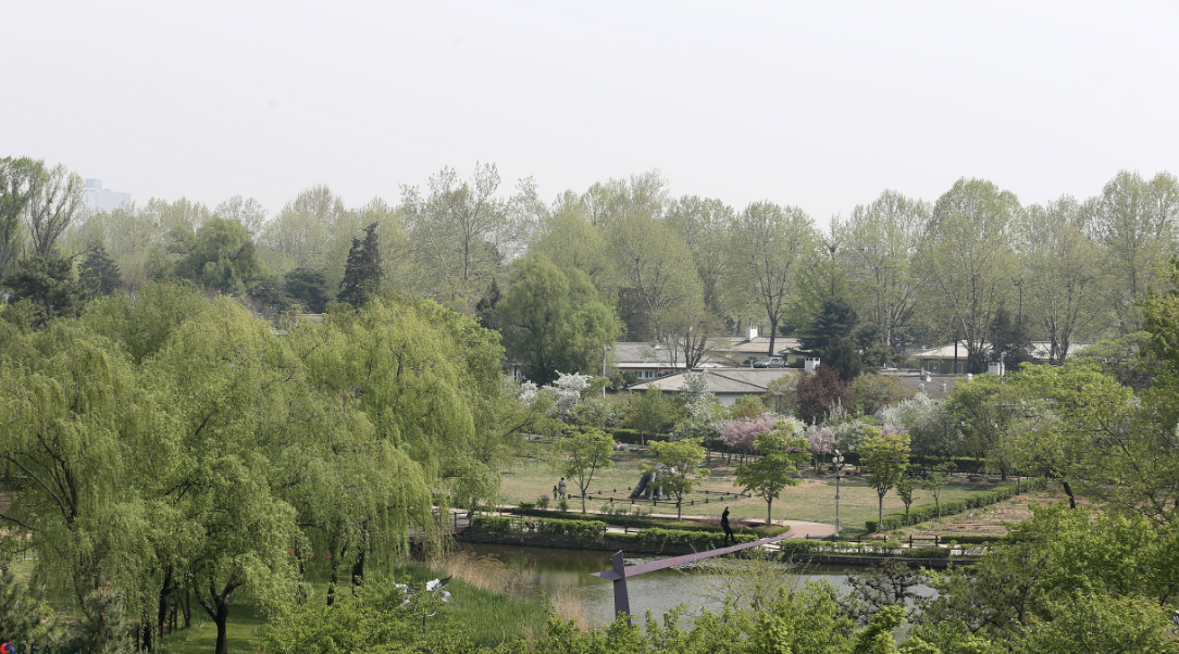 용산가족공원 이미지