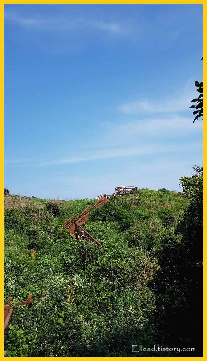 트래킹 코스, 관음도