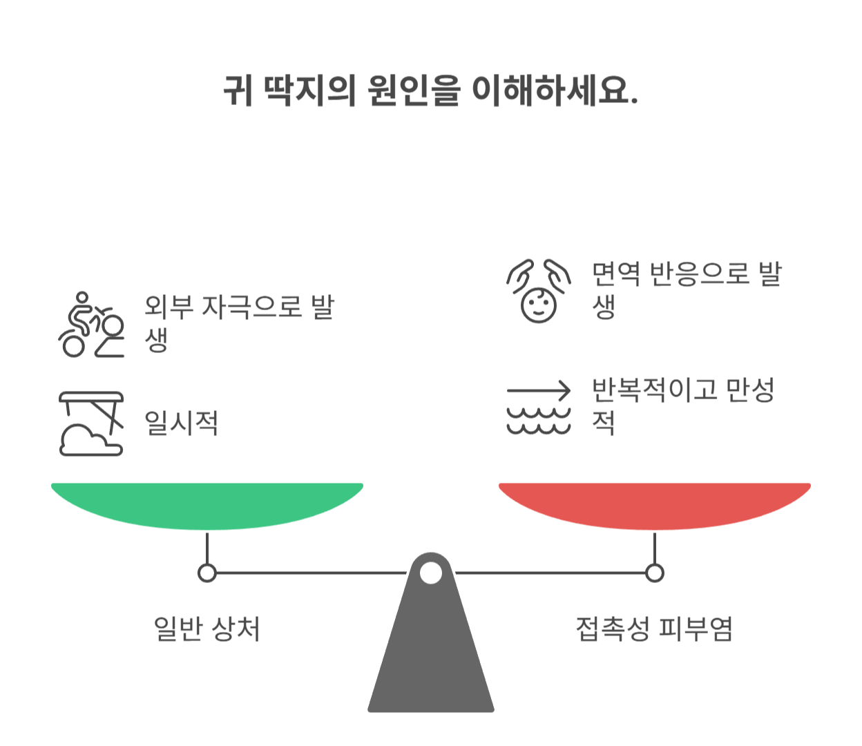 귀에 딱지와 진물, 단순 상처가 아닐 수 있어요