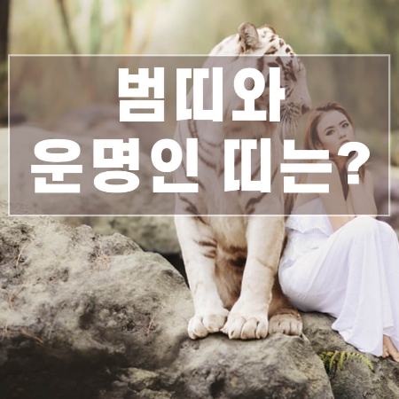 범띠와-잘맞는띠