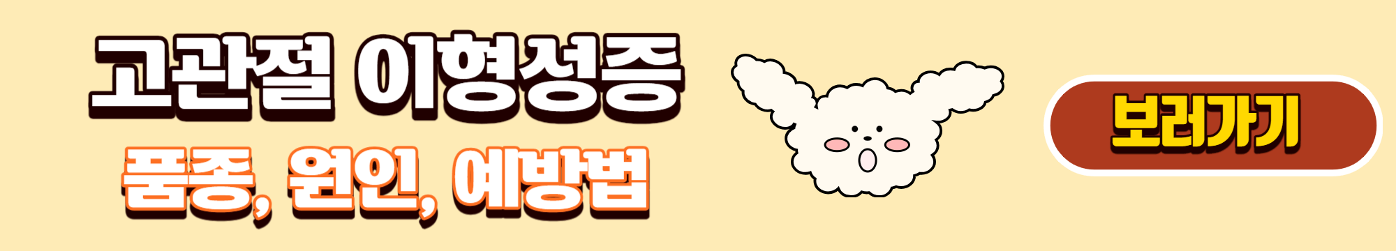 고관절 이형성증