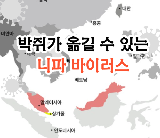 박쥐가 옮길 수 있는 니파바이러스