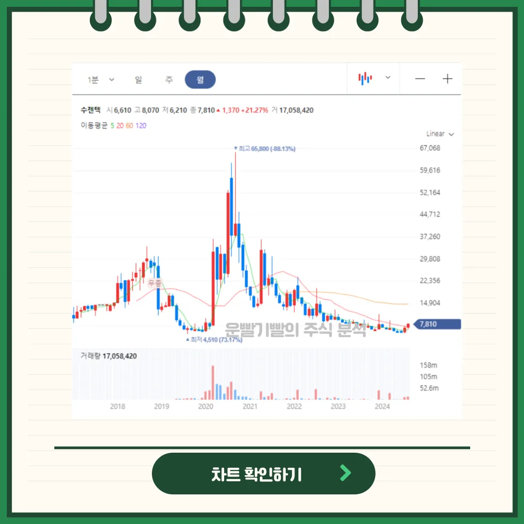 수젠텍 차트분석