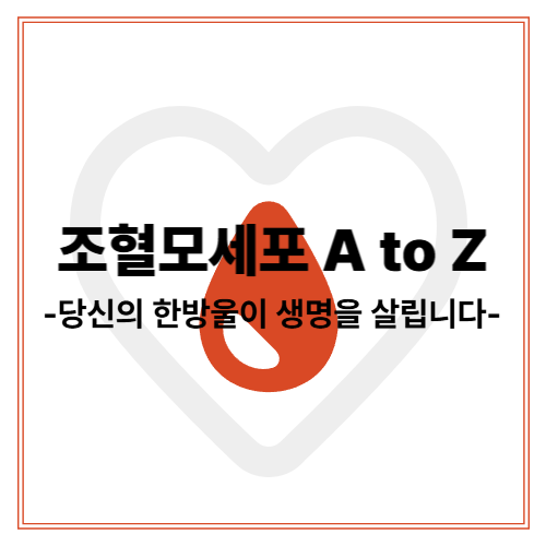🩸한 번의 기증, 한 사람의 생명 – 조혈모세포 기증 방법과 조건 총정리