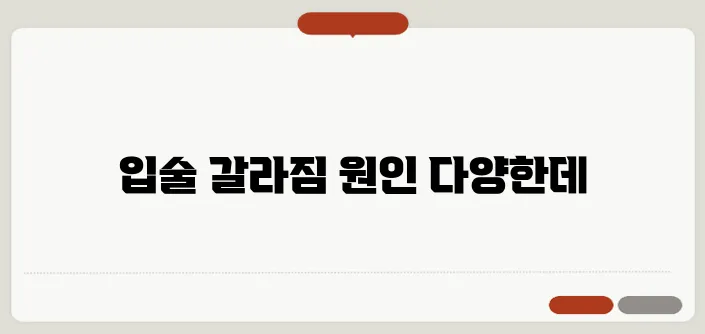입술이 부르트는 이유 단순 건조함이 아닐 수도?