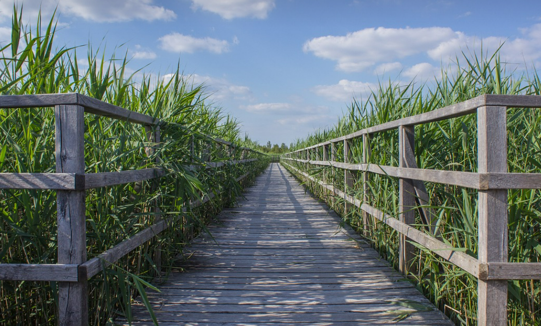 조용히 걷기 좋은, 나만 아는 길