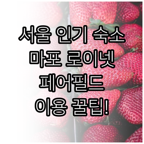 마포 로이넷부터 페어필드 서울까지 지..