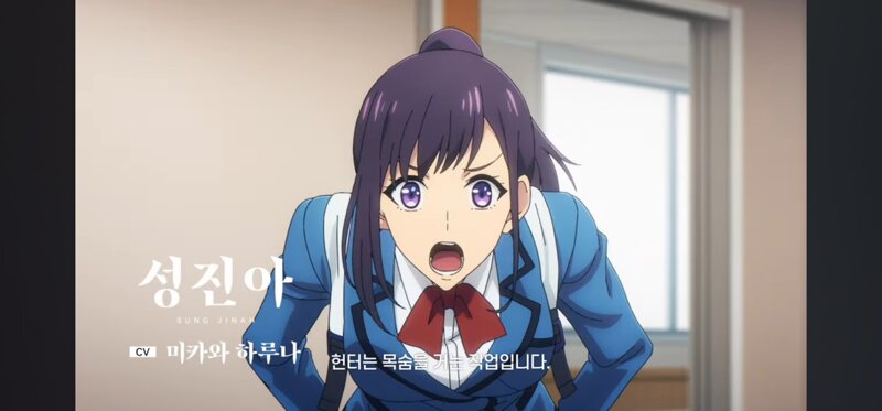 넷플릭스 애니 나 혼자만 레벨업 줄거리