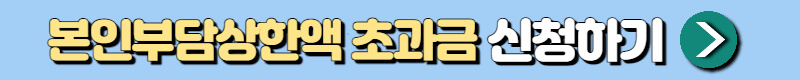 본인부담상한액 초과금 신청