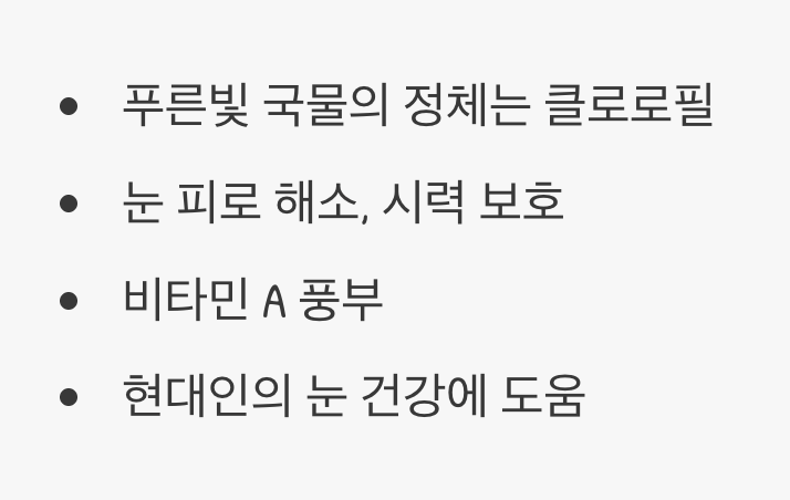 푸른 보석&amp;#44; 눈을 맑게 하는 비밀