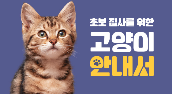 고양이 반려생활 가이드