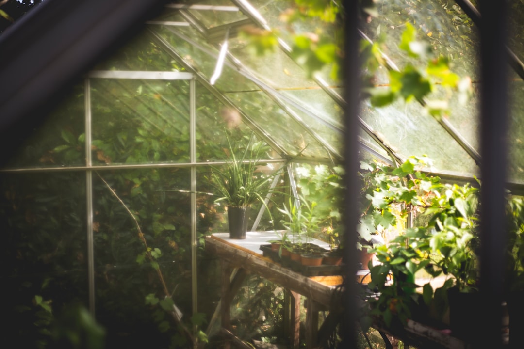 Secret Garden