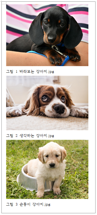 한글 캡션 설정 표번호 그림번호