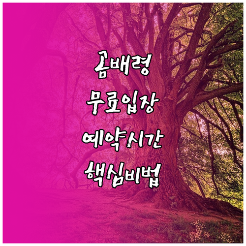 곰배령 무료 입장 방법과 주간 예약 ..