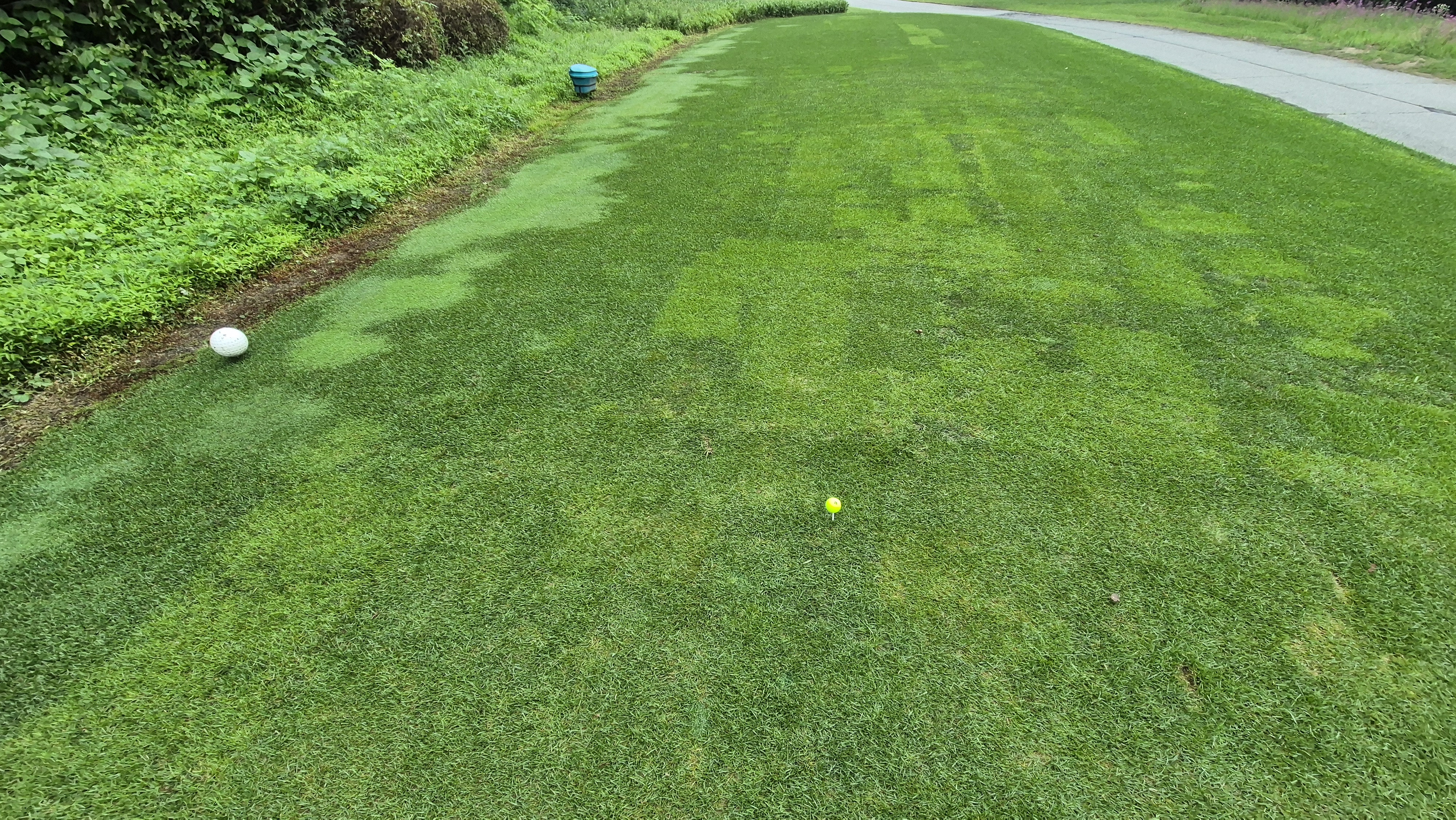 뉴스프링빌cc 라운드 후기