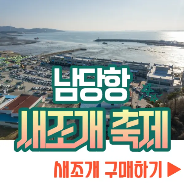 남당항 새조개 축제 새조개 구매