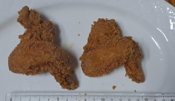 16조각날개크기2