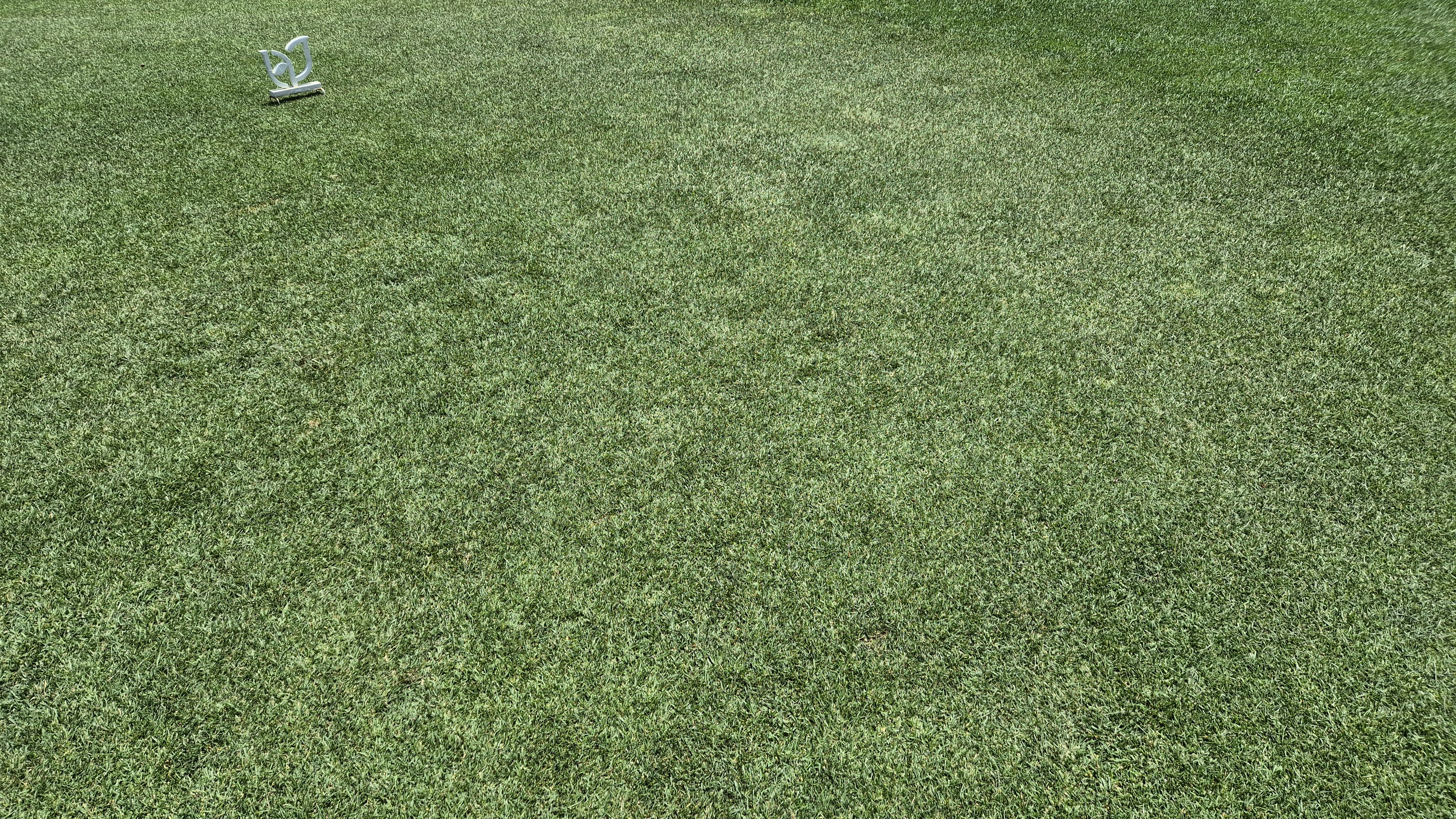 파인리즈cc 라운드 후기