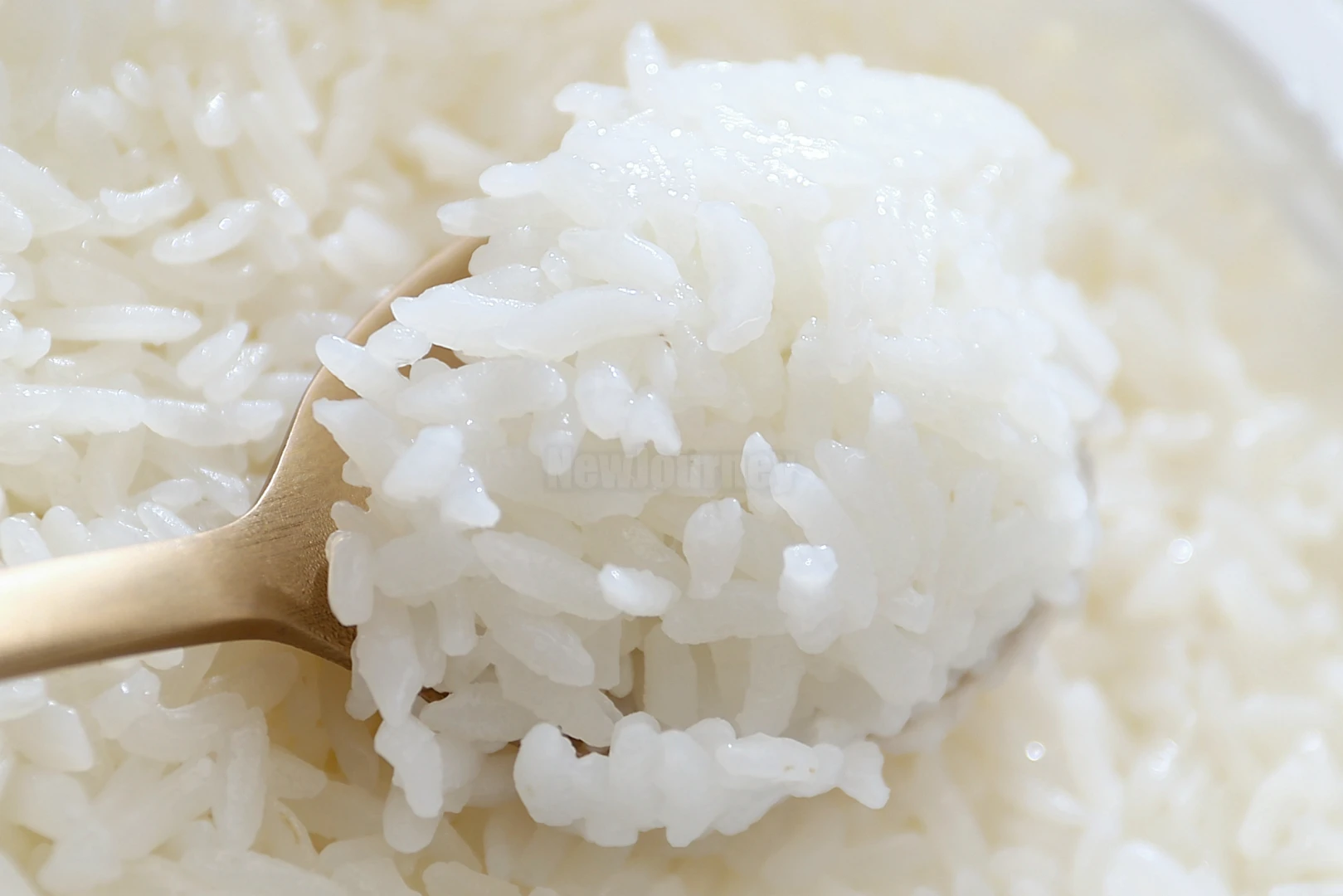흰쌀밥 클로즈업 steamed white rice closeup