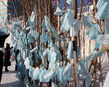 대관령 눈꽃축제_16