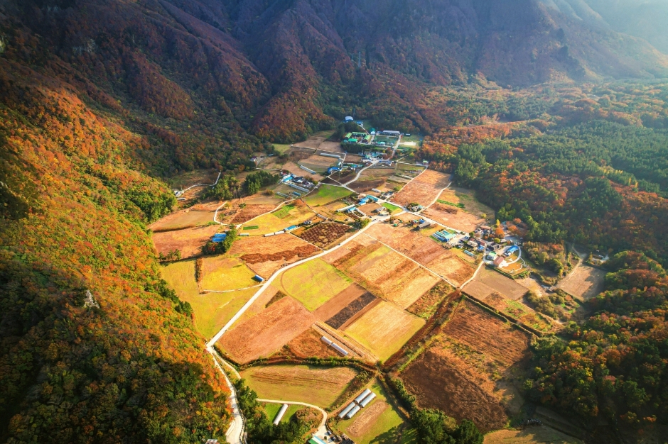 울릉도 가볼만한곳 베스트10 