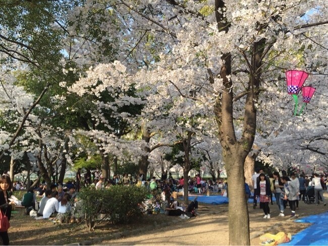 일본 나고야 자유여행 코스 : 관광명소&amp;#44; 가볼만한곳