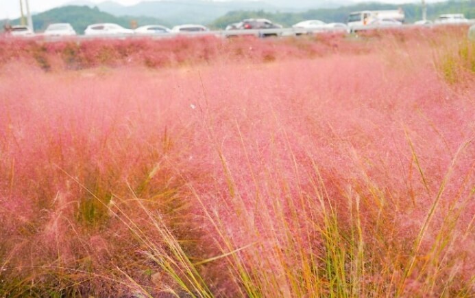 공주 가볼만한곳 베스트 10