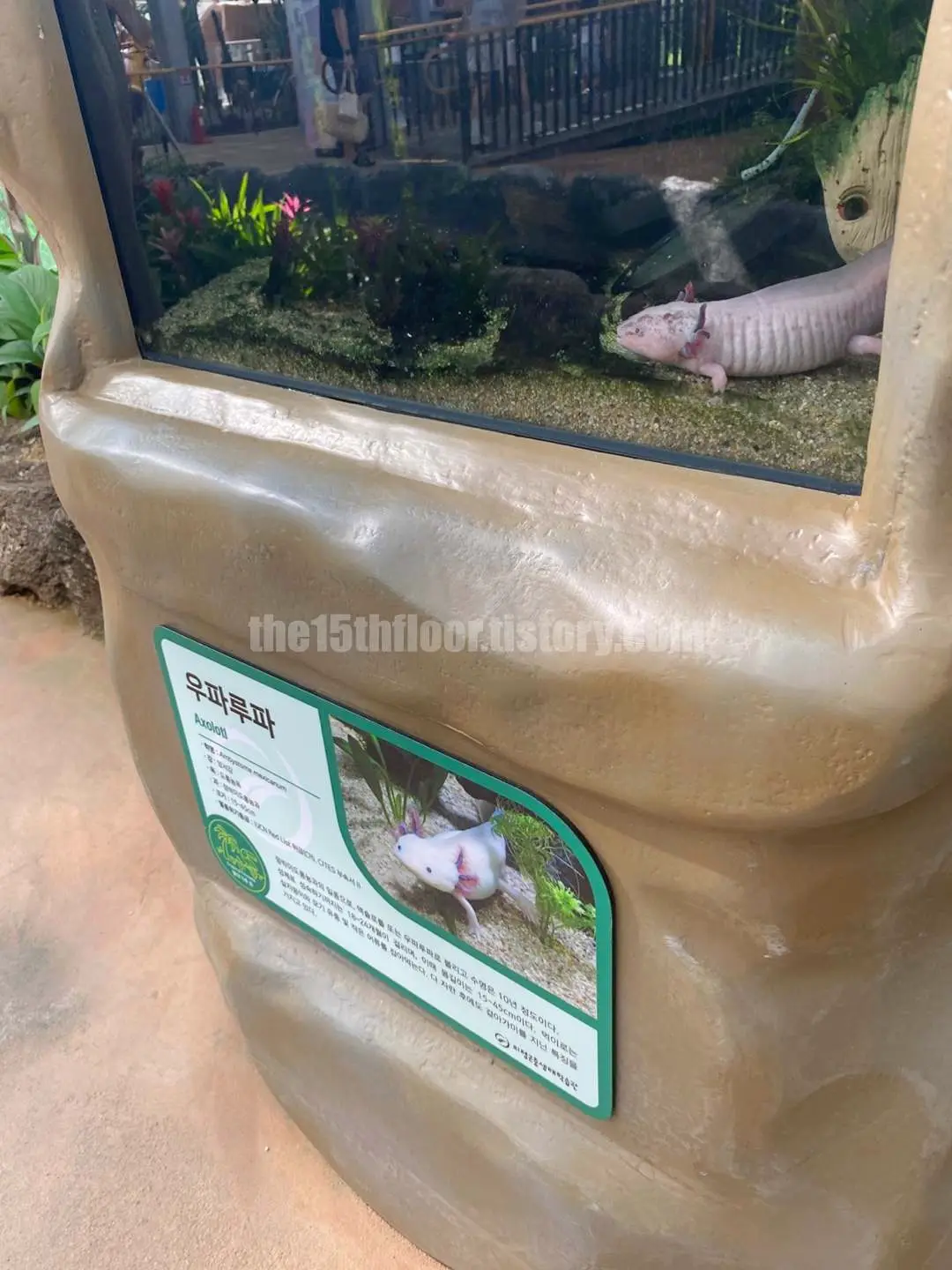 경남 의령 &amp;#39;의령 곤충생태학습관&amp;#39; (1층 &amp;#39;사막관&amp;#39;&amp;#44; &amp;#39;열대관&amp;#39;)