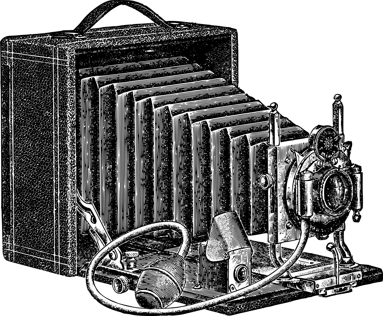 사진과 미술