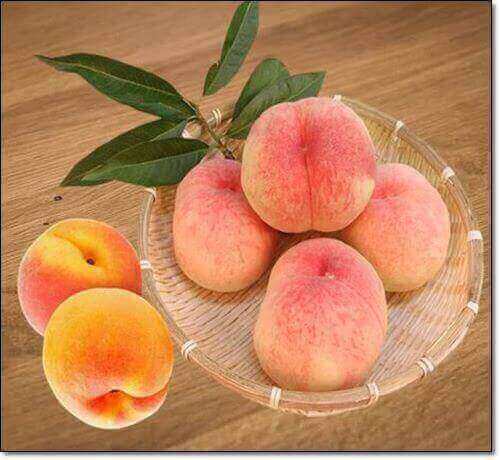 복숭아