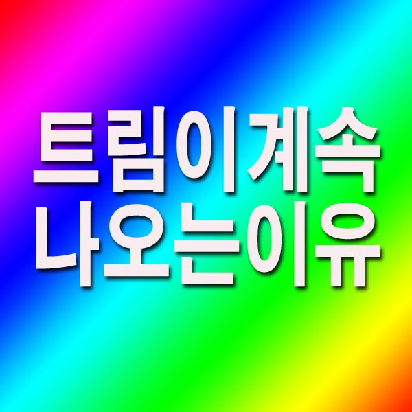 트림이 계속 나오는 이유