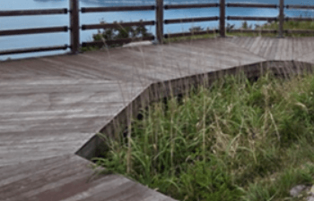 완도_생일도_가는길_당목항_배시간_여행코스