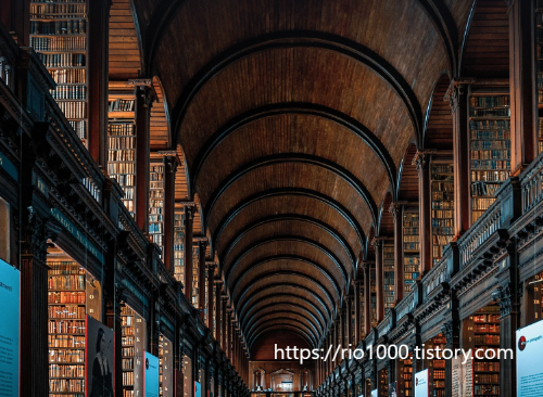 하버드도서관 이미지