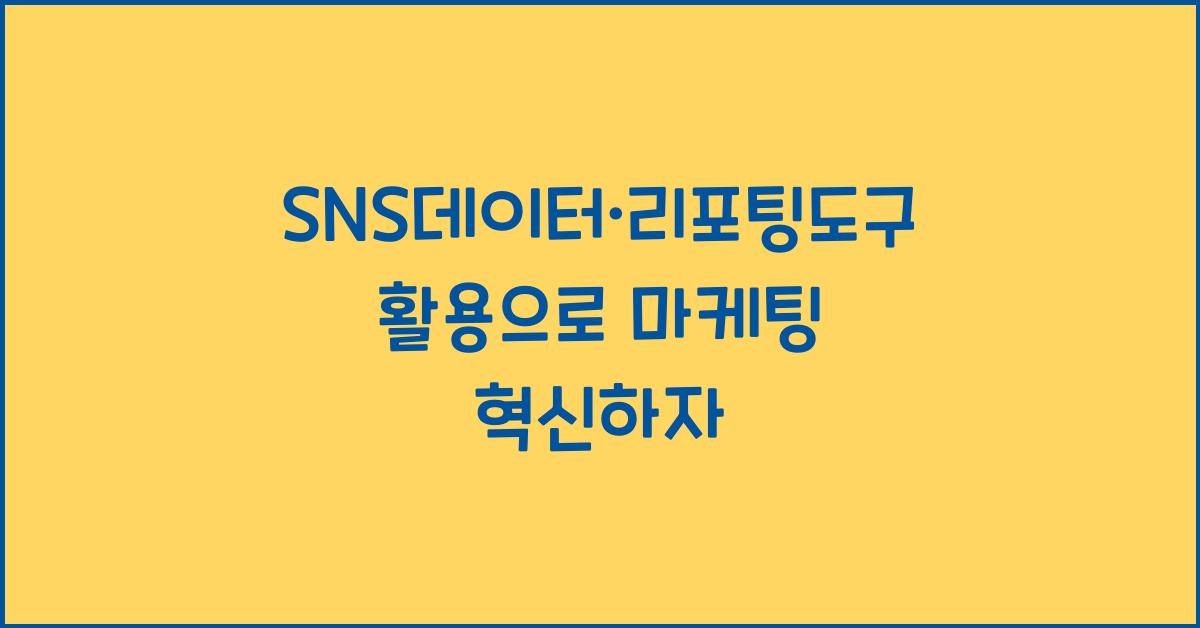 SNS데이터·리포팅도구활용