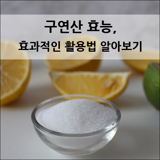 구연산 가루와 조각난 감귤류