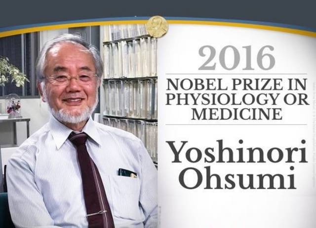 오토파지 단식 다이어트 오토파지주스 만드는법